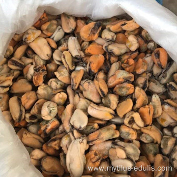 wholesale frozen cooked mussel meat at lower price